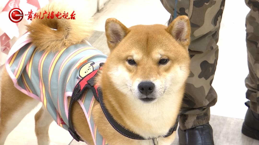 DƬ